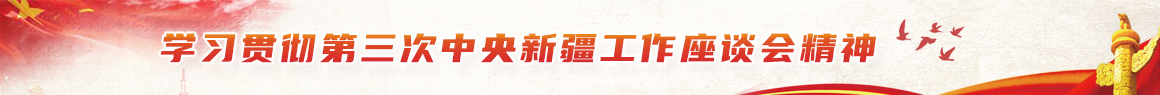 学习贯彻第三次中央新疆工作座谈会精神