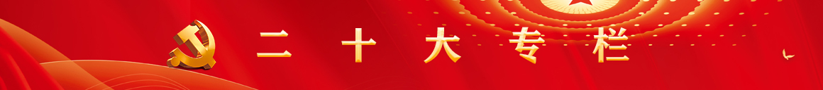 二十大专栏